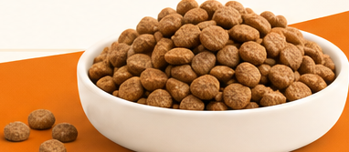 A bowl filled with pet food kibble